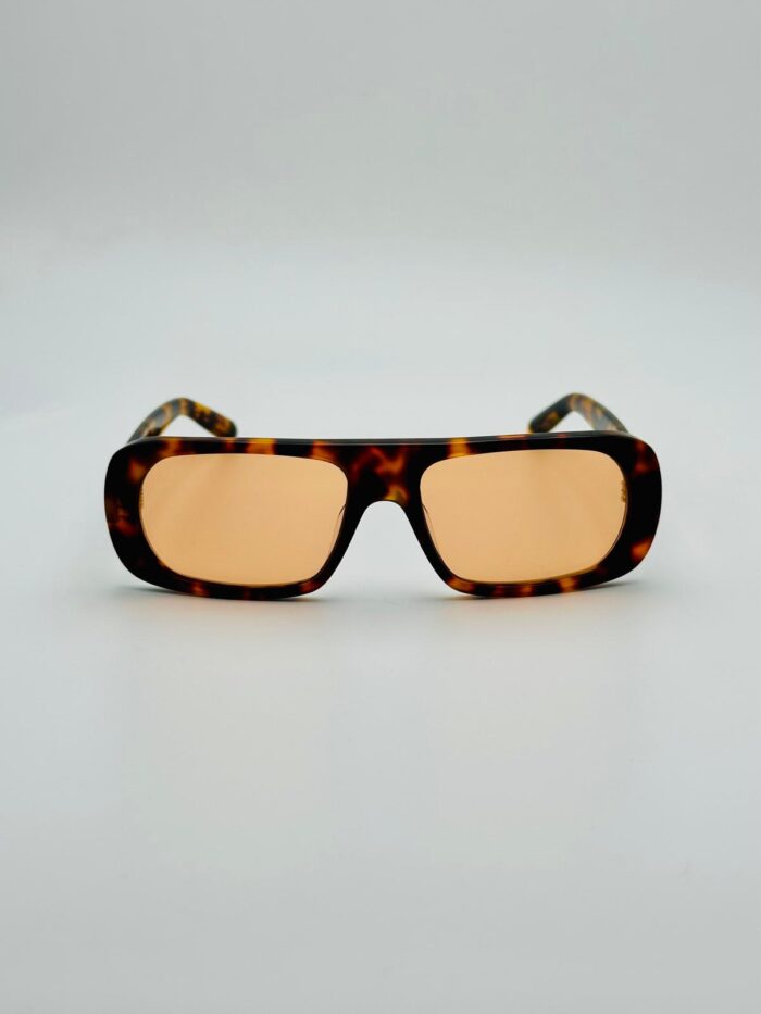 GCDS 0039